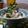 ダイナマイト漆黒's cooksnap of when they made なっとうふ（しらす入り）.