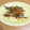 ビビ♡'s cooksnap of when they made ししゃもの南蛮漬け★.