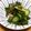 QPはにー's cooksnap of when they made だしまろ酢で定番酢の物.