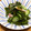 QPはにー's cooksnap of when they made だしまろ酢で定番酢の物.