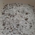 カクヨ's cooksnap of when they made 混ぜるだけ〜♪チアシードプリン.