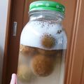 のんだくれぱんだ's cooksnap of when they made エコ♪梅シロップの後しわしわ梅で梅酵母！.