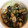 クック5CX882☆'s cooksnap of when they made コクがある旨み！あさりの酒蒸し.