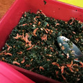 ぱぴぷぺぽち's cooksnap of when they made 大葉と干しエビの無添加ふりかけ.