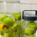 れいママ♪'s cooksnap of when they made ●自家製●完熟南高梅のにごり完熟梅酒.
