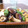ダイナマイト漆黒's cooksnap of when they made きのこの焼き浸し.