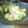 micsberry3z's cooksnap of when they made 簡単早い！安い！　チンゲン菜のサラダ.