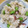 ごはんのじかん's cooksnap of when they made 生姜香る☆枝豆と蛸の炊き込みご飯.