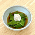 にきけん's cooksnap of when they made モロッコいんげんの揚げ浸し.