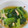 かづピヨ's cooksnap of when they made 小松菜と油揚げの煮浸し.