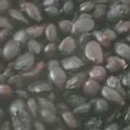 ぷちゃごん's cooksnap of when they made 黒豆の水煮（圧力鍋）.