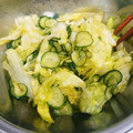 あたりめっこ's cooksnap of when they made きゅうり 水菜 レタスのマリネ 冷凍保存.