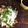 カズ形33's cooksnap of when they made しらたきと鶏むね肉でヤムウンセン.