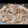 リボン❁'s cooksnap of when they made きのこと牛肉のしぐれ煮風.