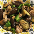YUKIKI☆'s cooksnap of when they made 簡単☆豚肉とナスの焼肉のタレ炒め.