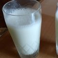 みしゃる丸's cooksnap of when they made メロン果汁た～っぷり♪メロンスムージー.
