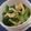 kohn's cooksnap of when they made ♪小松菜と油揚げのおひたし♪.