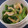 kohn's cooksnap of when they made ♪小松菜と油揚げのおひたし♪.