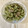 HJT's cooksnap of when they made 苦瓜の豆豉中華炒め.