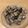 akasio10's cooksnap of when they made あさりのワイン蒸し.
