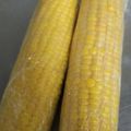 クックUL8OCM☆'s cooksnap of when they made レンチンで甘くなる！とうもろこしの茹で方.