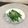 ☆こまっと☆'s cooksnap of when they made モロッコインゲンの生姜和え.
