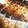 ☆マカロンmama☆'s cooksnap of when they made 塩さばの鰹節焼き.
