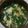 nofuxx's cooksnap of when they made ニラと玉子のスープ.