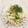 あめにゃん's cooksnap of when they made 豆もやしの鮭マヨ和え.