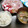 シートー's cooksnap of when they made 魚を捌こう！メジナ刺身編.