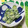 おはなすき's cooksnap of when they made 信州の夏☆きゅうりの粕あえ.