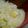 ヨシヨッシー's cooksnap of when they made 卵中華粥.