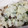 ちぃくらげ's cooksnap of when they made きのこの大根おろし和え.