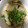 ume0325's cooksnap of when they made 丸ごと玉ねぎのレンジ蒸し.