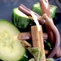 ひかぷん's cooksnap of when they made 山菜食べよう！　ワラビのお漬物.