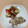ぐりtoぐら's cooksnap of when they made 簡単！美味！蒸し鶏のゴママヨドレ.