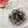 horseland's cooksnap of when they made もやしの黒ゴマあえ「サブおかず」.