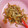 ピンクたこ's cooksnap of when they made 豚肉蒟蒻ごぼうのしぐれ煮.