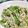 みにゃさら's cooksnap of when they made 水菜のサラダ（マヨぽんドレッシング）.