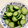 ホーリーカズ's cooksnap of when they made 簡単☆きゅうりの塩漬け.