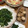 ﾌﾞﾚﾝﾀﾞ's cooksnap of when they made キャベツの千切りの仕方.