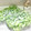 はらぺこしろうさぎ's cooksnap of when they made 簡単☆ゴーヤの冷凍保存.