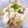 ricomimi's cooksnap of when they made 電子レンジで簡単☆ 白だし豆腐スープ♡.