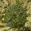 しろとそーり's cooksnap of when they made 簡単★すり鉢で作る基本のバジルソース.