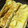 クックZL0VZZ☆'s cooksnap of when they made 簡単フレンチトーストの作り方.
