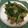 クックGXY3W☆'s cooksnap of when they made 空芯菜と豚バラのオイスター炒め.