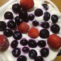 ぽんぽんぐ's cooksnap of when they made ドーム型ケーキ.