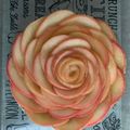 DHA's cooksnap of when they made 薔薇のようなアップルパイ.