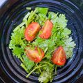 meechan_y's cooksnap of when they made 簡単、パクチーとトマトのエスニックサラダ.