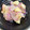 ⭐︎mogmog's cooksnap of when they made 赤大根と林檎のサラダ.